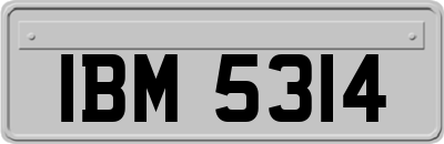 IBM5314