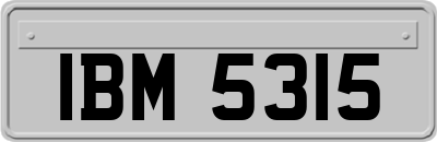 IBM5315