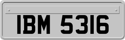 IBM5316