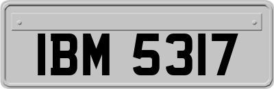 IBM5317