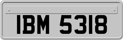 IBM5318