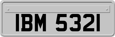 IBM5321