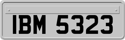 IBM5323