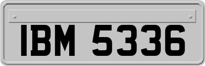 IBM5336