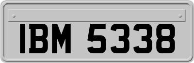 IBM5338