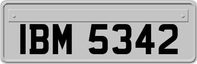 IBM5342