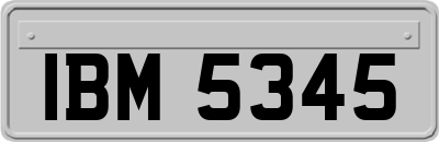 IBM5345