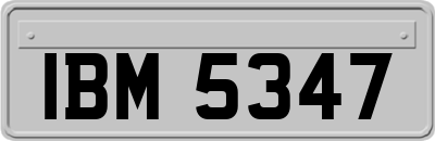 IBM5347