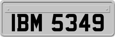 IBM5349