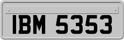 IBM5353