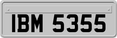 IBM5355