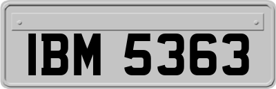 IBM5363