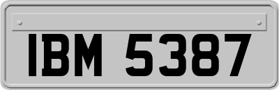 IBM5387