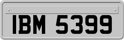 IBM5399