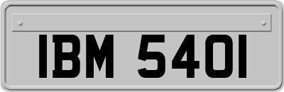 IBM5401