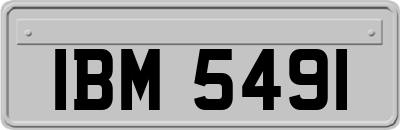 IBM5491