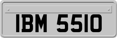 IBM5510