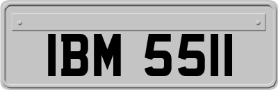 IBM5511