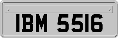 IBM5516