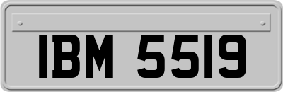 IBM5519