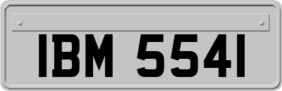 IBM5541