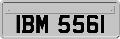 IBM5561