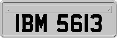 IBM5613