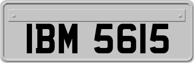 IBM5615