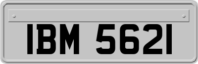 IBM5621