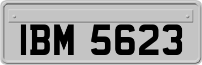 IBM5623