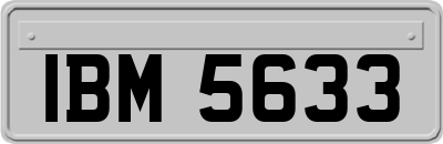 IBM5633