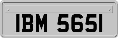 IBM5651