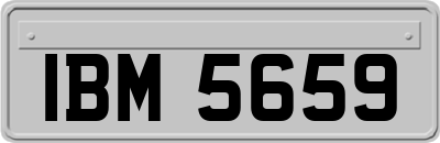 IBM5659