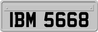 IBM5668