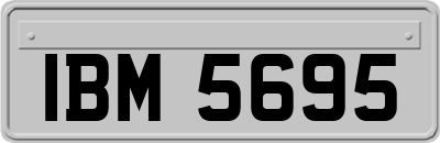 IBM5695