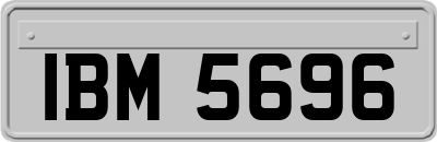 IBM5696