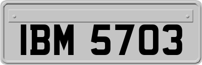 IBM5703