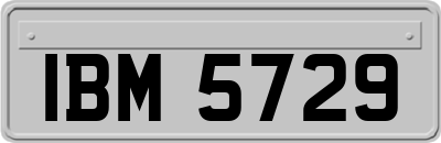 IBM5729