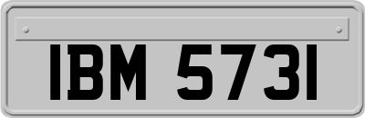 IBM5731