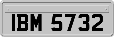 IBM5732