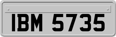 IBM5735