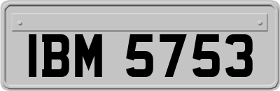 IBM5753