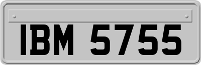 IBM5755