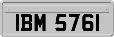 IBM5761