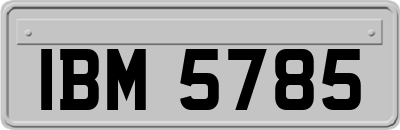 IBM5785