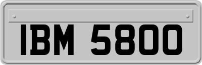 IBM5800