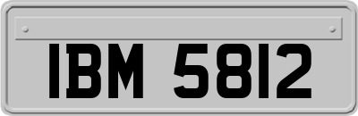 IBM5812