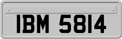 IBM5814