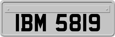 IBM5819