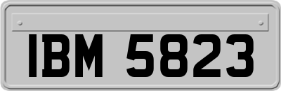 IBM5823